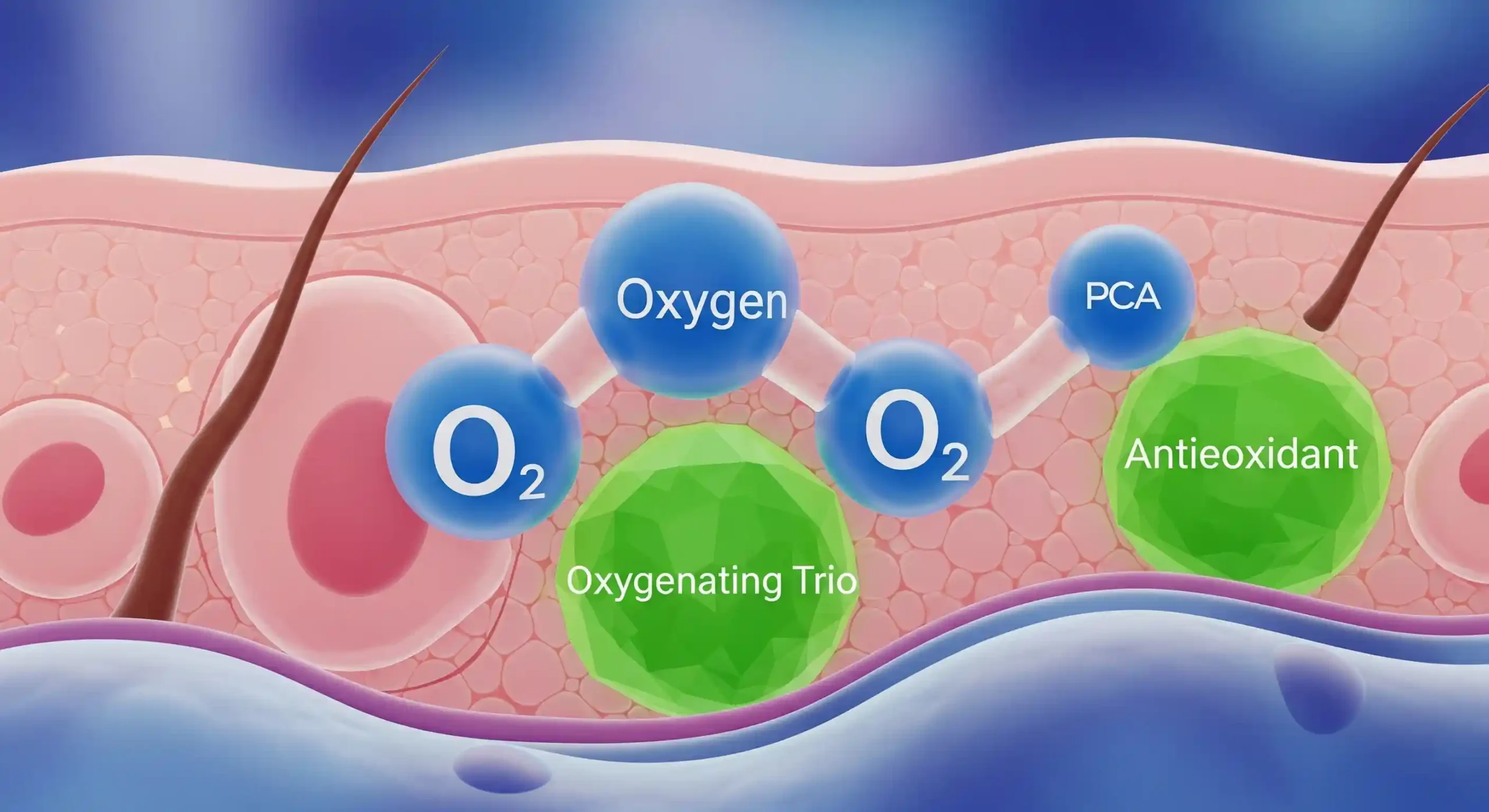 image PCA Oxygenating Trio facial 111