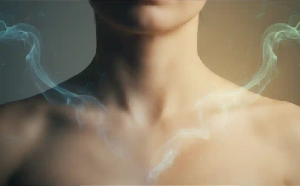 image forgotten-zones-neck-1